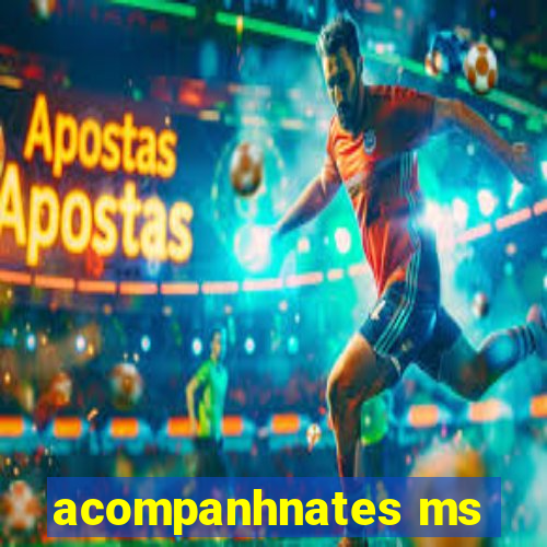 acompanhnates ms