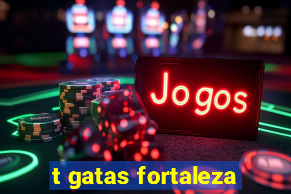 t gatas fortaleza