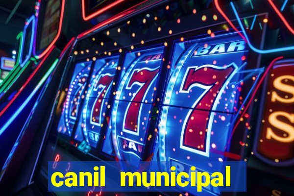 canil municipal porto alegre