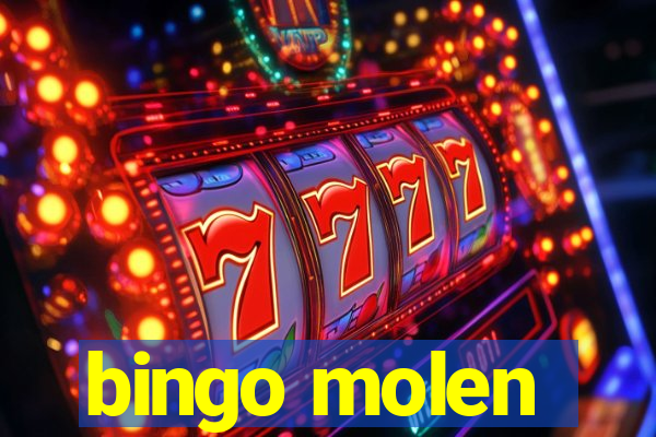 bingo molen