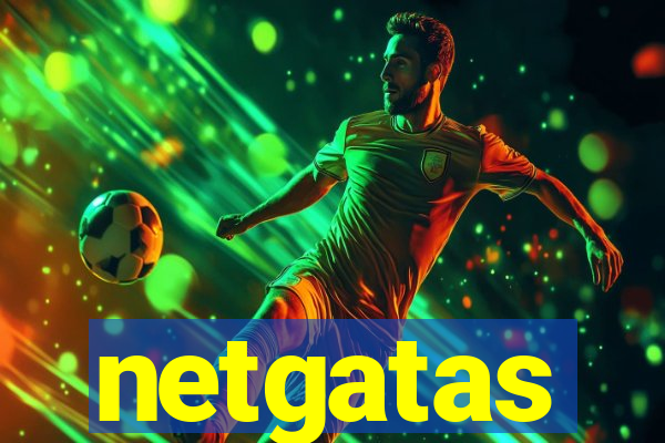 netgatas