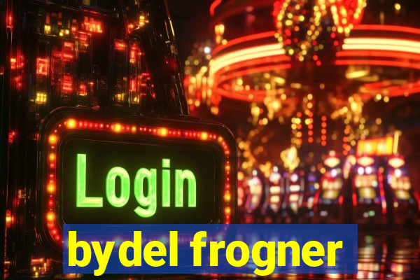 bydel frogner