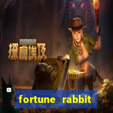 fortune rabbit estrategia Informational