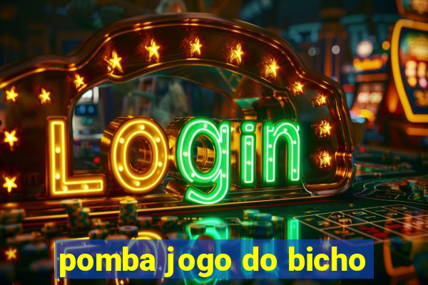 pomba jogo do bicho