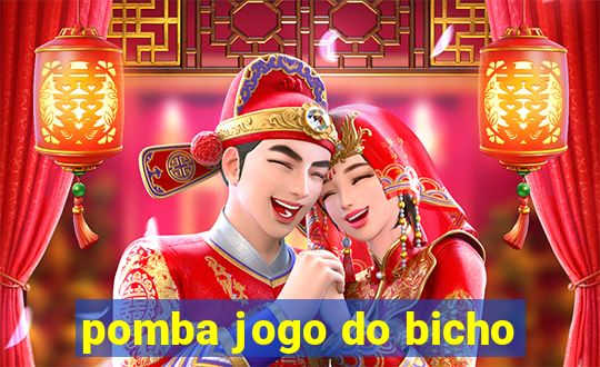 pomba jogo do bicho