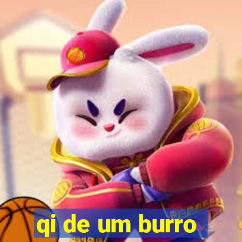 qi de um burro