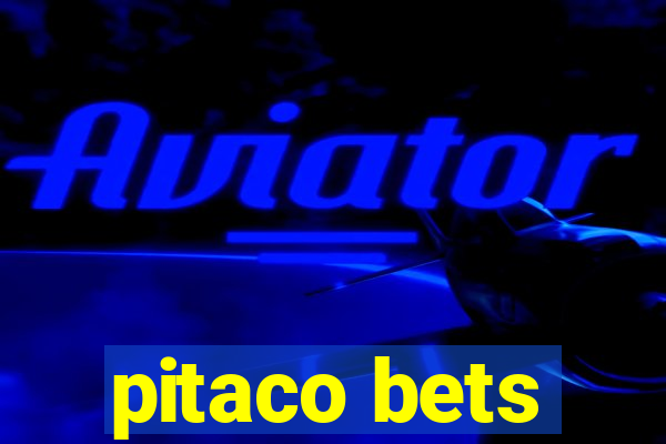 pitaco bets