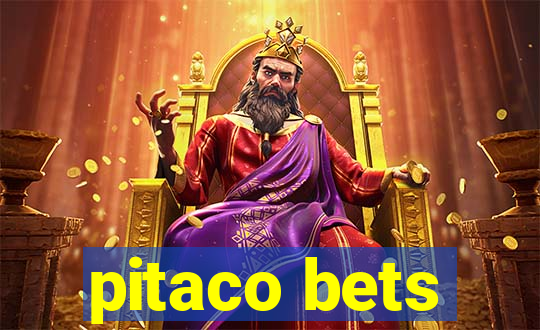 pitaco bets