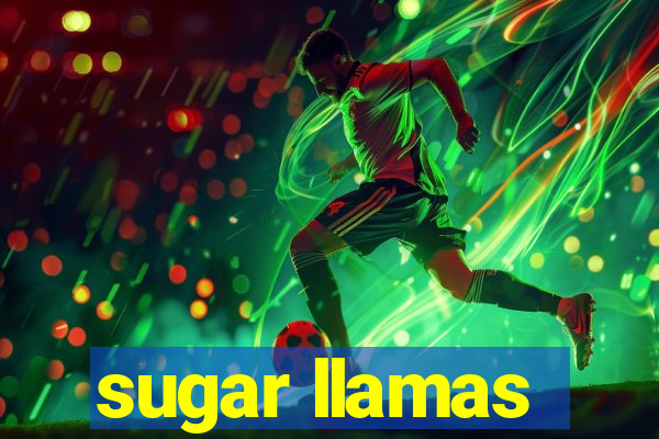 sugar llamas