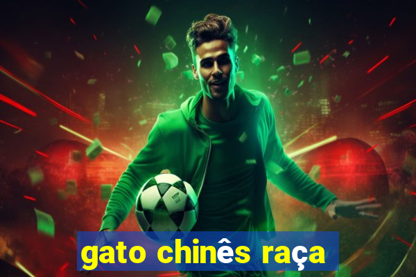 gato chinês raça