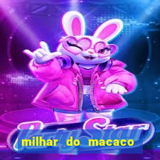 milhar do macaco que mais sai