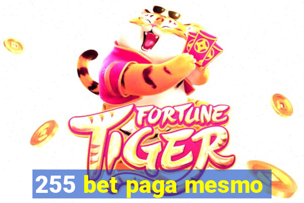 255 bet paga mesmo