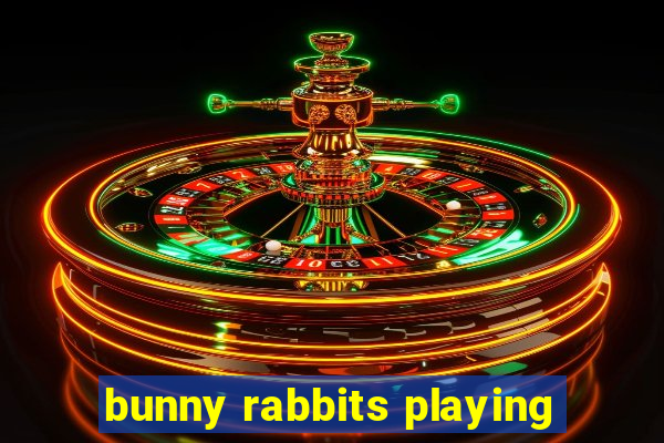 bunny rabbits playing