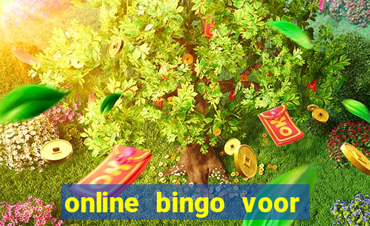 online bingo voor echt geld