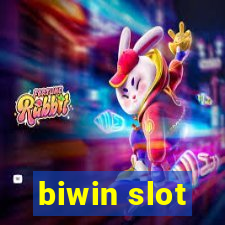 biwin slot